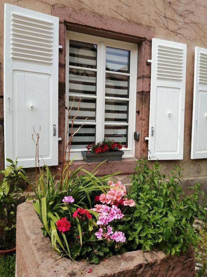 Gite Le Patio Kaysersberg-Vignoble Exterior photo